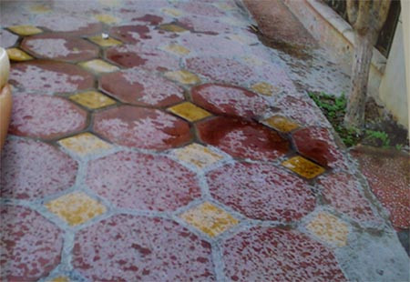 Bị khủng bố 'bom' bẩn, dựng 'lô cốt' cố thủ giữa Hà Nội ảnh 3