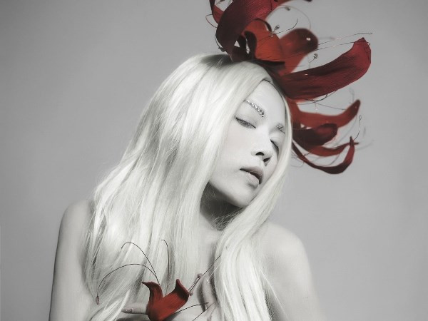 Ca sĩ Phạm Hà Linh: “Đời gọi tên em là… Điên” ảnh 2