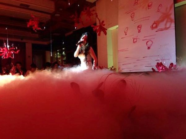 Ca sĩ Phạm Hà Linh: “Đời gọi tên em là… Điên” ảnh 1