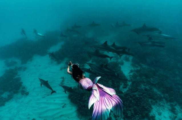 Ảnh: Joshfather Ảnh: Joshfather