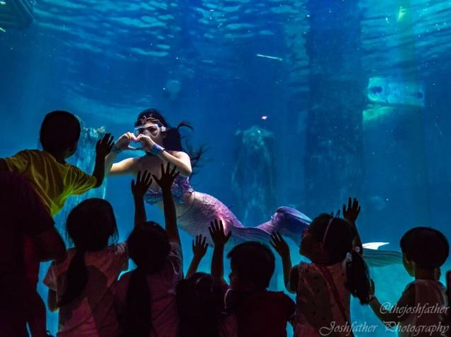 Ảnh: Joshfather Ảnh: Joshfather