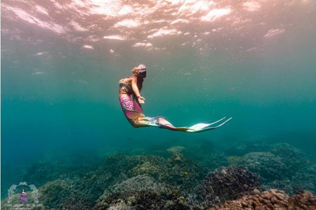 Ảnh: Joshfather Ảnh: Joshfather