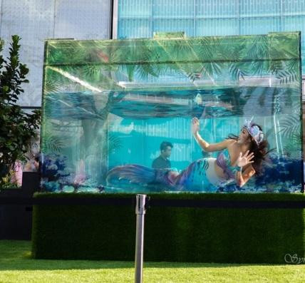 Ảnh: Joshfather Ảnh: Joshfather