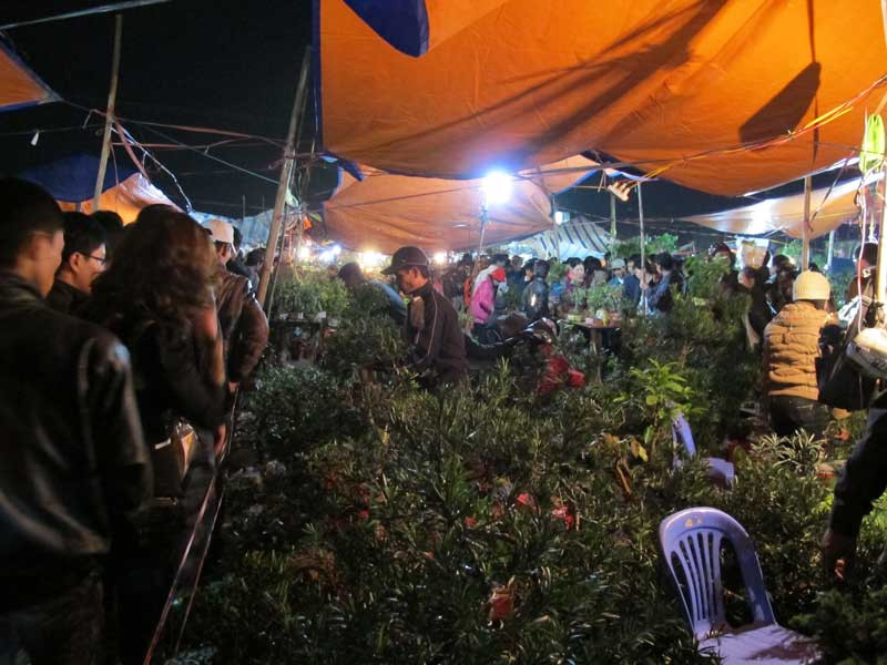 Sau khi lễ cầu xong, khách thập phương chọn mua một cây với mong muốn năm mới gặp nhiều may mắn