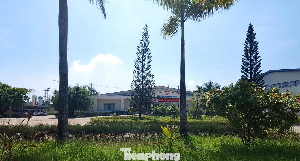 Công ty CP Kết cấu thép Đại Dũng miền Trung bị Cục thuế tỉnh Quảng Ngãi truy thu và xử phạt hành chính. Công ty CP Kết cấu thép Đại Dũng miền Trung bị Cục thuế tỉnh Quảng Ngãi truy thu và xử phạt hành chính.