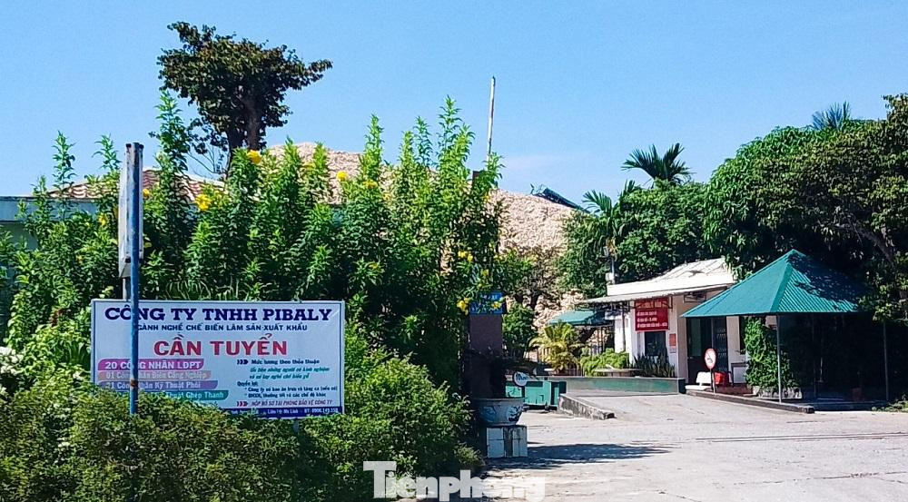 Công ty Pibaly bị Cục Thuế tỉnh Quảng Ngãi truy thu và phạt hành chính liên quan đến lĩnh vực thuế. Công ty Pibaly bị Cục Thuế tỉnh Quảng Ngãi truy thu và phạt hành chính liên quan đến lĩnh vực thuế.