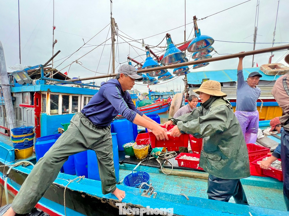 “Với tinh thần khí thế mới, lãnh đạo xã cũng như nghiệp đoàn nghề cá và toàn thể bà con ngư dân quyết tâm vươn khơi, bám biển. Cầu cho mưa thuận, gió hòa, mỗi chuyến ra khơi của bà con được an toàn, đánh bắt bội thu, nâng cao thu nhập của bà con ngư dân, góp phần phát triển kinh tế quê hương, gắn với bảo vệ chủ quyền Tổ quốc”, ông Nguyên nói.