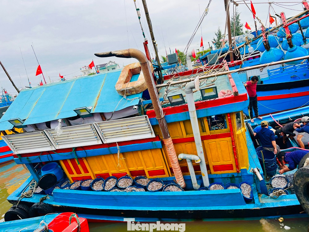 Chỉ sau một đêm ra khơi, nhiều tàu cá đã trúng đậm “lộc biển” với hàng tấn cá cơm ở vùng biển gần bờ, mang về cả chục triệu đồng. Những con thuyền đầy cá tôm ngay trong chuyến đi biển đầu năm báo hiệu một năm bội thu của ngư dân địa phương