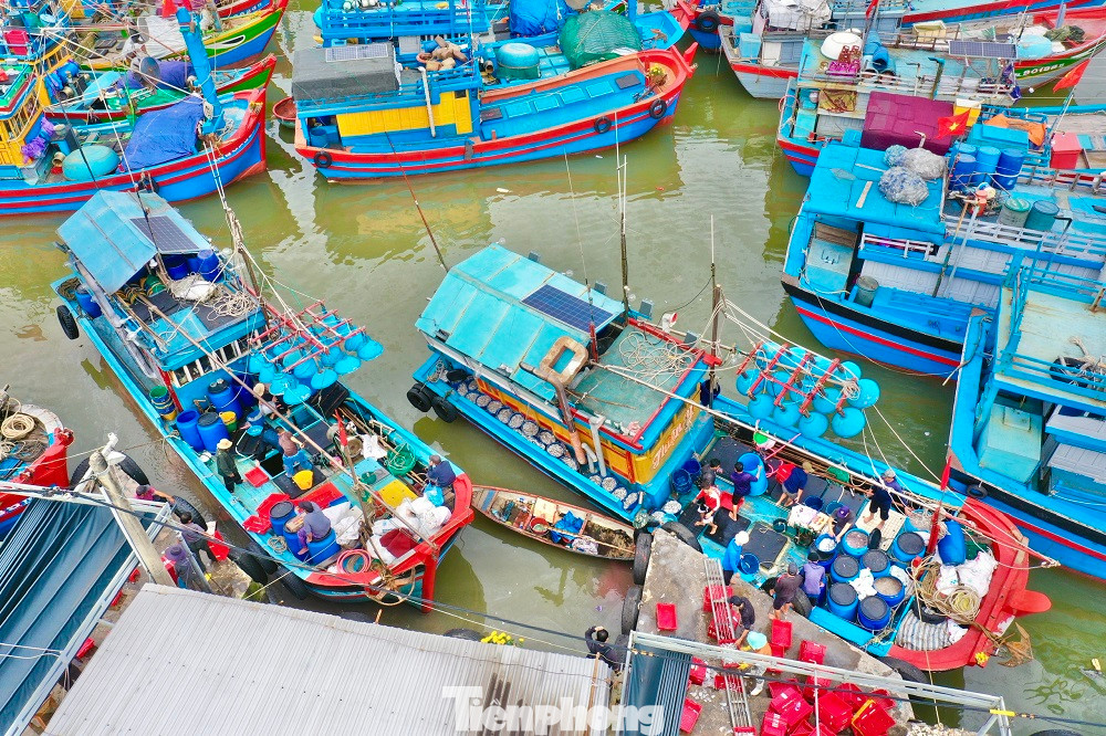 Liên tiếp trong những ngày qua, tại cảng cá Tịnh Kỳ (xã Tịnh Kỳ, TP. Quảng Ngãi) và Sa Kỳ (xã Bình Châu, huyện Bình Sơn, tỉnh Quảng Ngãi), hàng trăm tàu cá của ngư dân nối đuôi nhau ra vào cảng, tạo nên bầu không khí nhộn nhịp trong những ngày đầu năm mới.