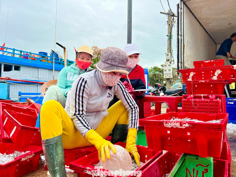 Không chỉ ngư dân ra khơi có thu nhập cao mà ngay cả “đội quân” làm dịch vụ hậu cần nghề cá cũng có công ăn việc làm đầu năm mới đem lại nguồn thu nhập khá.