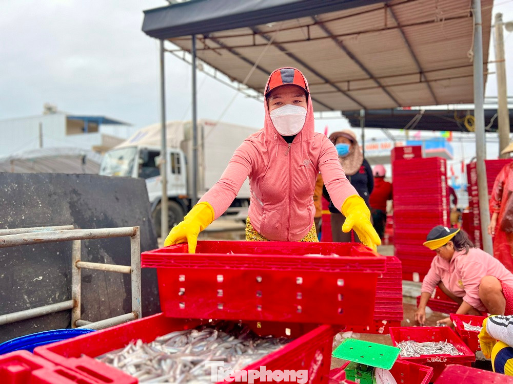“Chuyến biển đầu năm đạt doanh thu hơn 100 triệu đồng, trừ chi phí mỗi anh em được chia ít nhất mỗi người 5-6 triệu sau một đêm đánh bắt. Tàu trúng đậm lộc biển đầu năm, anh em ngư dân rất phấn khởi”, ông Thạch nói.