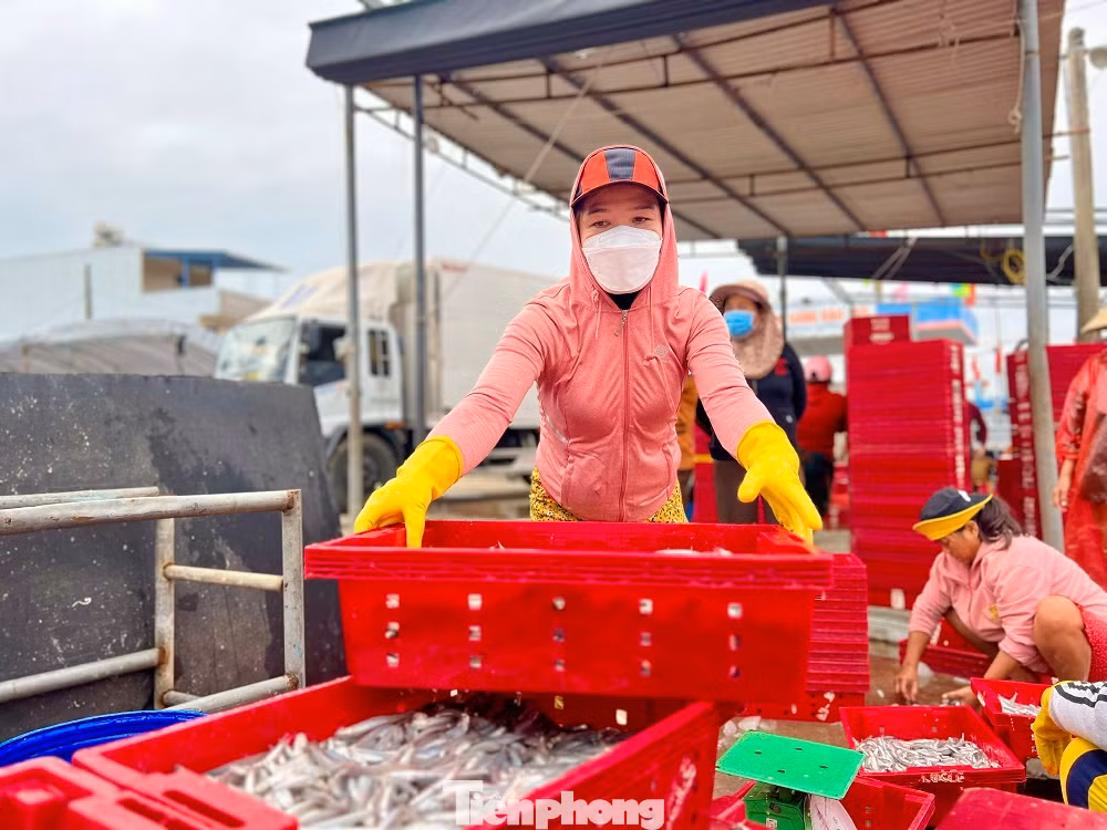 “Chuyến biển đầu năm đạt doanh thu hơn 100 triệu đồng, trừ chi phí mỗi anh em được chia ít nhất mỗi người 5-6 triệu sau một đêm đánh bắt. Tàu trúng đậm lộc biển đầu năm, anh em ngư dân rất phấn khởi”, ông Thạch nói.