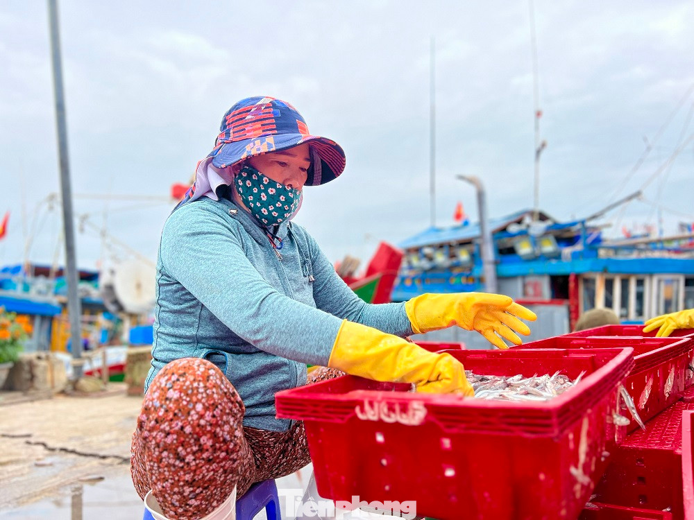 “Chuyến biển đầu năm đạt doanh thu hơn 100 triệu đồng, trừ chi phí mỗi anh em được chia ít nhất mỗi người 5-6 triệu sau một đêm đánh bắt. Tàu trúng đậm lộc biển đầu năm, anh em ngư dân rất phấn khởi”, ông Thạch nói.