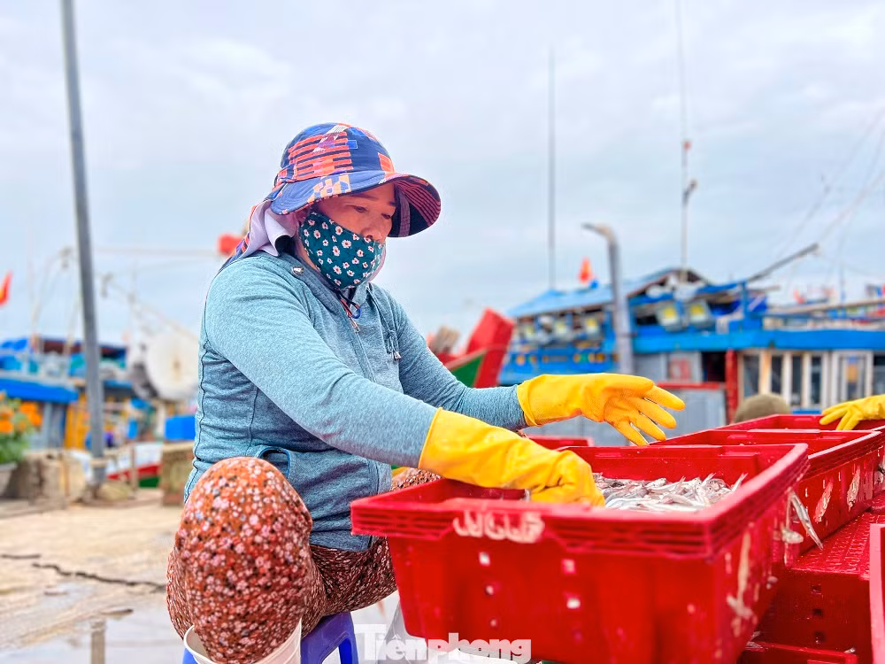 “Chuyến biển đầu năm đạt doanh thu hơn 100 triệu đồng, trừ chi phí mỗi anh em được chia ít nhất mỗi người 5-6 triệu sau một đêm đánh bắt. Tàu trúng đậm lộc biển đầu năm, anh em ngư dân rất phấn khởi”, ông Thạch nói.