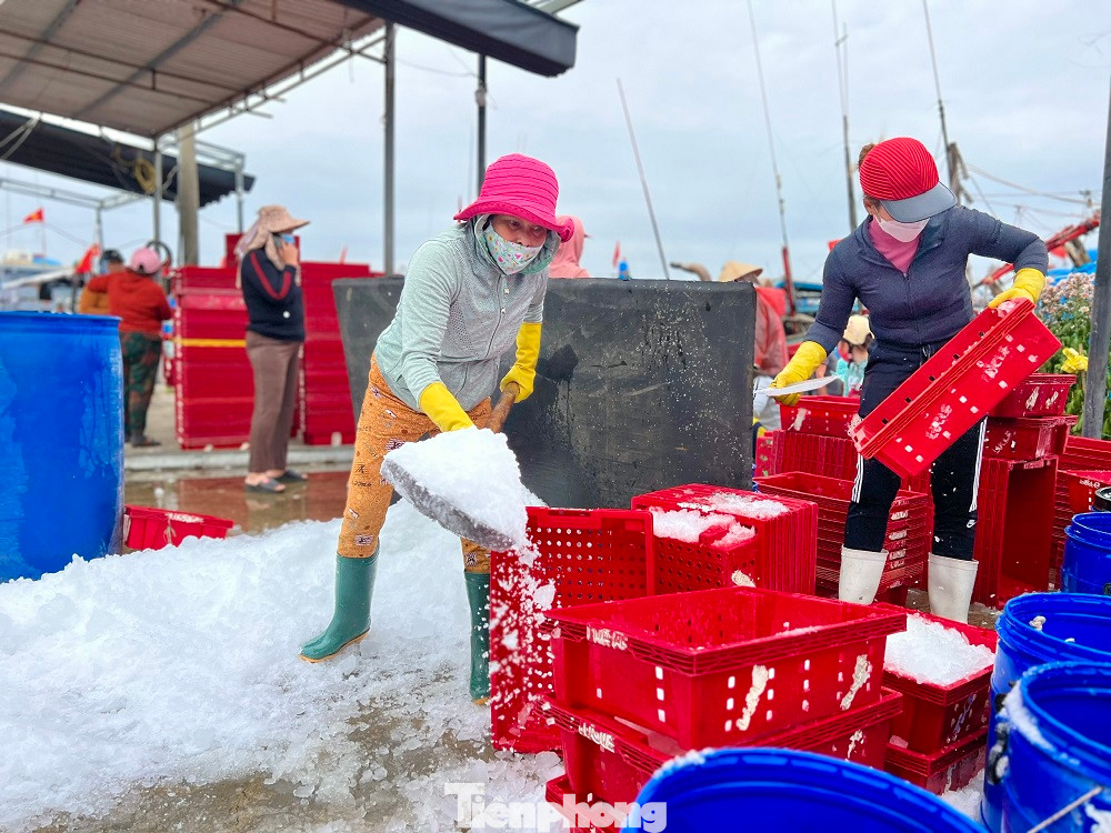 Ông Lê Văn Nguyên - Chủ tịch UBND xã Bình Châu (huyện Bình Sơn, tỉnh Quảng Ngãi) cho biết, tàu cá của ngư dân về đầy ắp tôm cá là một tín hiệu vui cho bà con ngư dân đầu năm mới.