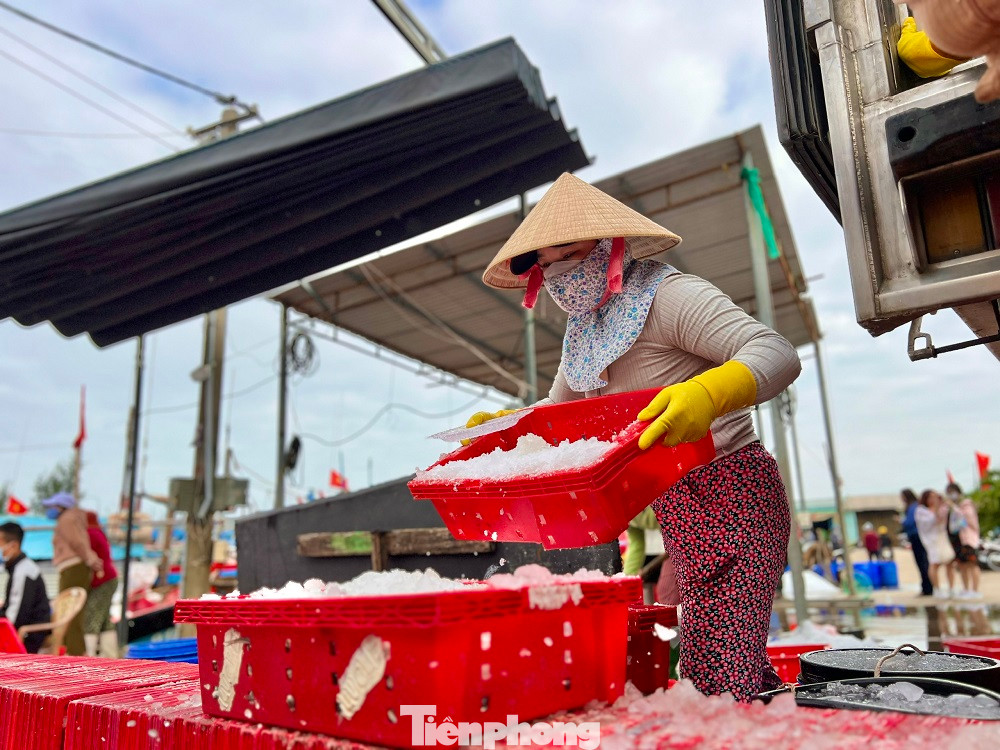 Ông Lê Văn Nguyên - Chủ tịch UBND xã Bình Châu (huyện Bình Sơn, tỉnh Quảng Ngãi) cho biết, tàu cá của ngư dân về đầy ắp tôm cá là một tín hiệu vui cho bà con ngư dân đầu năm mới.