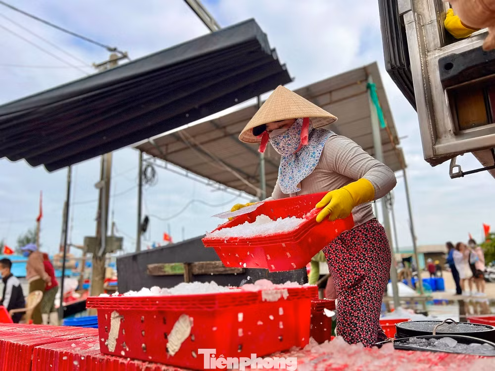 Ông Lê Văn Nguyên - Chủ tịch UBND xã Bình Châu (huyện Bình Sơn, tỉnh Quảng Ngãi) cho biết, tàu cá của ngư dân về đầy ắp tôm cá là một tín hiệu vui cho bà con ngư dân đầu năm mới.