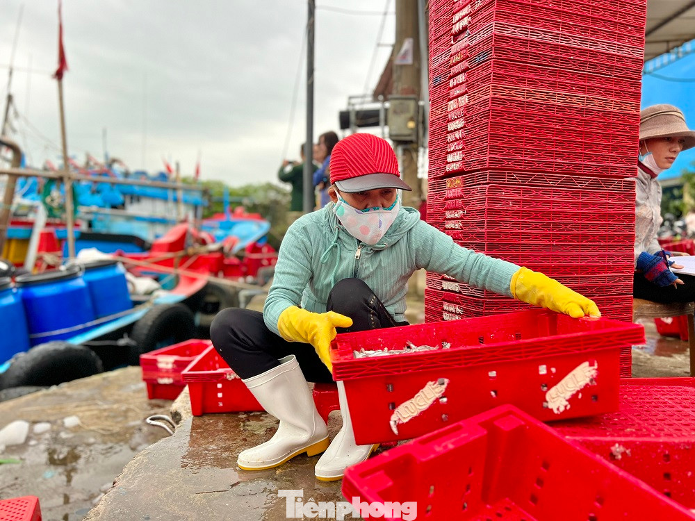 Không chỉ ngư dân ra khơi có thu nhập cao mà ngay cả “đội quân” làm dịch vụ hậu cần nghề cá cũng có công ăn việc làm đầu năm mới đem lại nguồn thu nhập khá.