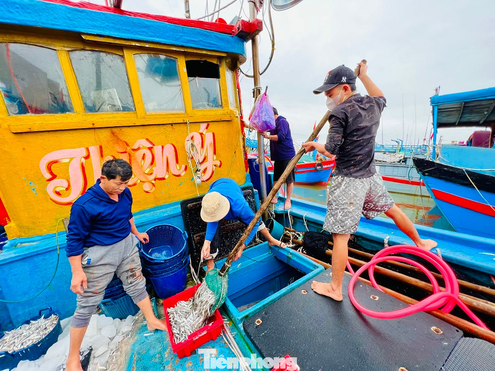 “Chuyến biển đầu năm, trúng đậm cá và được giá nên anh em ngư dân rất phấn khởi. Trừ hết chi phí tàu cá , tôi thu được khoảng 80 triệu đồng. So với mọi năm, năm nay quá đạt”, anh Thái bộc bạch.