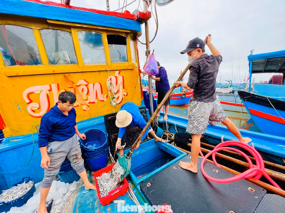 “Chuyến biển đầu năm, trúng đậm cá và được giá nên anh em ngư dân rất phấn khởi. Trừ hết chi phí tàu cá , tôi thu được khoảng 80 triệu đồng. So với mọi năm, năm nay quá đạt”, anh Thái bộc bạch.