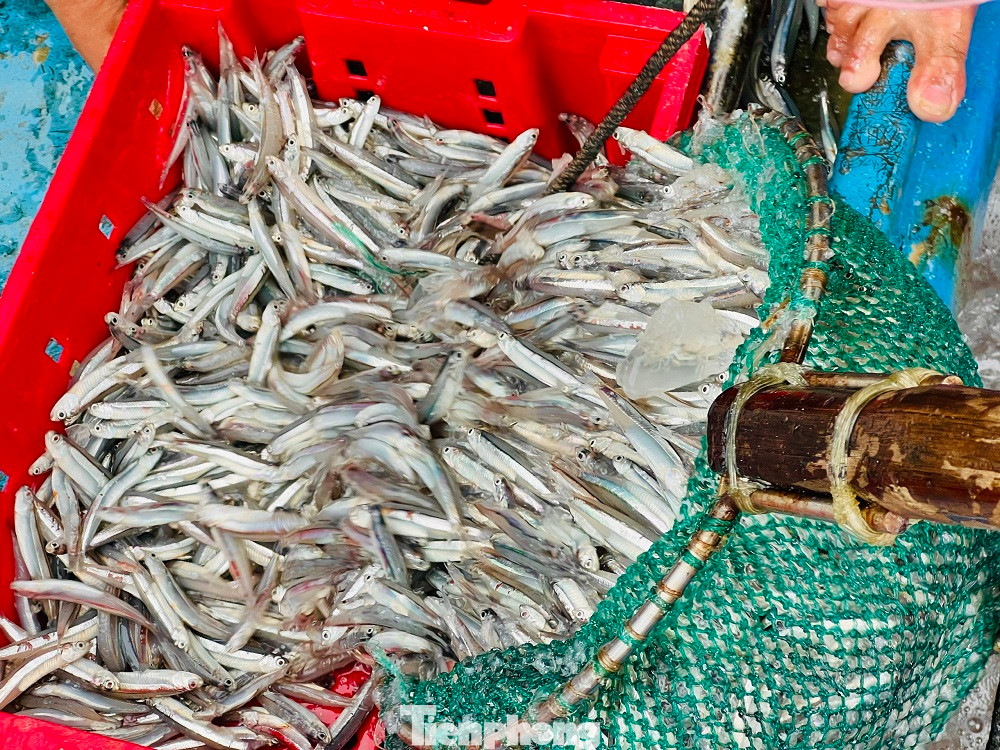 “Chuyến biển đầu năm, trúng đậm cá và được giá nên anh em ngư dân rất phấn khởi. Trừ hết chi phí tàu cá , tôi thu được khoảng 80 triệu đồng. So với mọi năm, năm nay quá đạt”, anh Thái bộc bạch.