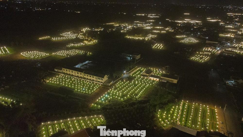 Thời điểm này, người dân ở “thủ phủ” trồng hoa ở Quảng Ngãi đang bước vào cao điểm vụ hoa Tết Nguyên đán Quý Mão 2023 với cảnh cánh đồng sáng choang khi người nông dân chiếu bóng điện cho hoa cúc... việc chong đèn thâu đêm để “đánh thức”, không cho hoa cúc “ngủ”. Từ 18h hàng ngày, các làng hoa bắt đầu lên đèn lung linh.