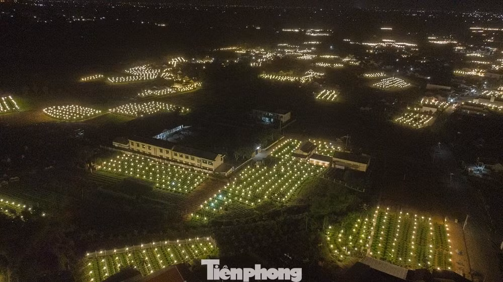 Thời điểm này, người dân ở “thủ phủ” trồng hoa ở Quảng Ngãi đang bước vào cao điểm vụ hoa Tết Nguyên đán Quý Mão 2023 với cảnh cánh đồng sáng choang khi người nông dân chiếu bóng điện cho hoa cúc... việc chong đèn thâu đêm để “đánh thức”, không cho hoa cúc “ngủ”. Từ 18h hàng ngày, các làng hoa bắt đầu lên đèn lung linh.