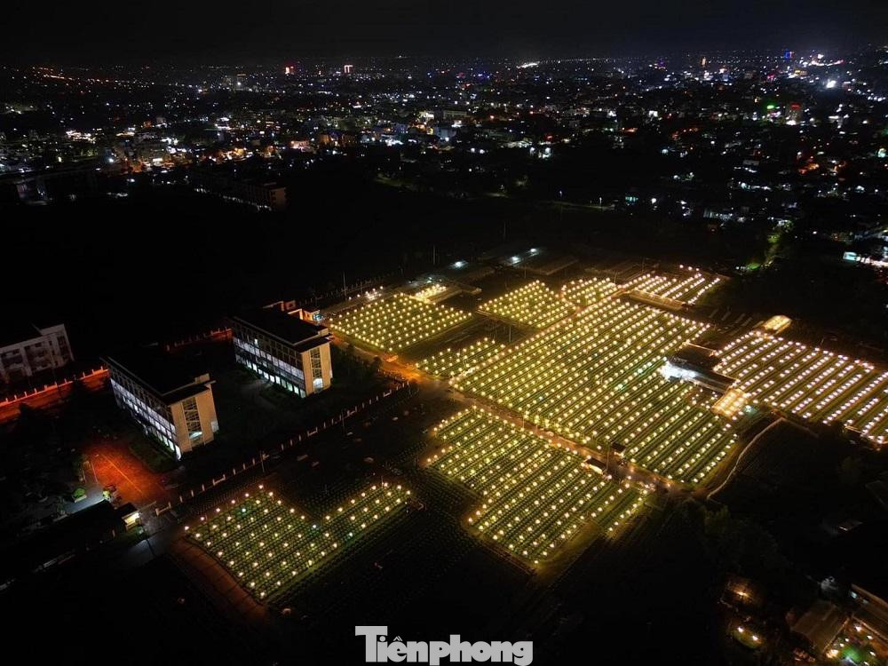 Việc chong đèn trên những ruộng hoa không phải để xua đi bóng tối như ở chốn thị thành, cũng không phải để sưởi ấm mà đây là một trong những kỹ thuật cần thiết được người trồng hoa cúc ở Quảng Ngãi áp dụng để cho cây hoa phát triển nhanh hơn.