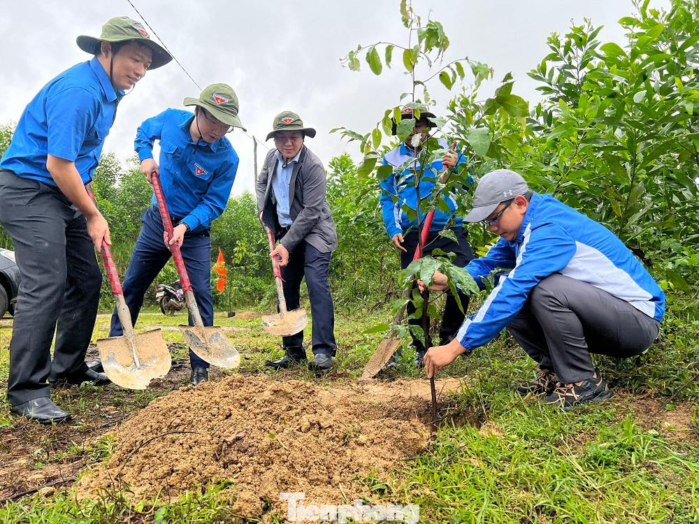Tổ chức ra quân trồng cây xanh.