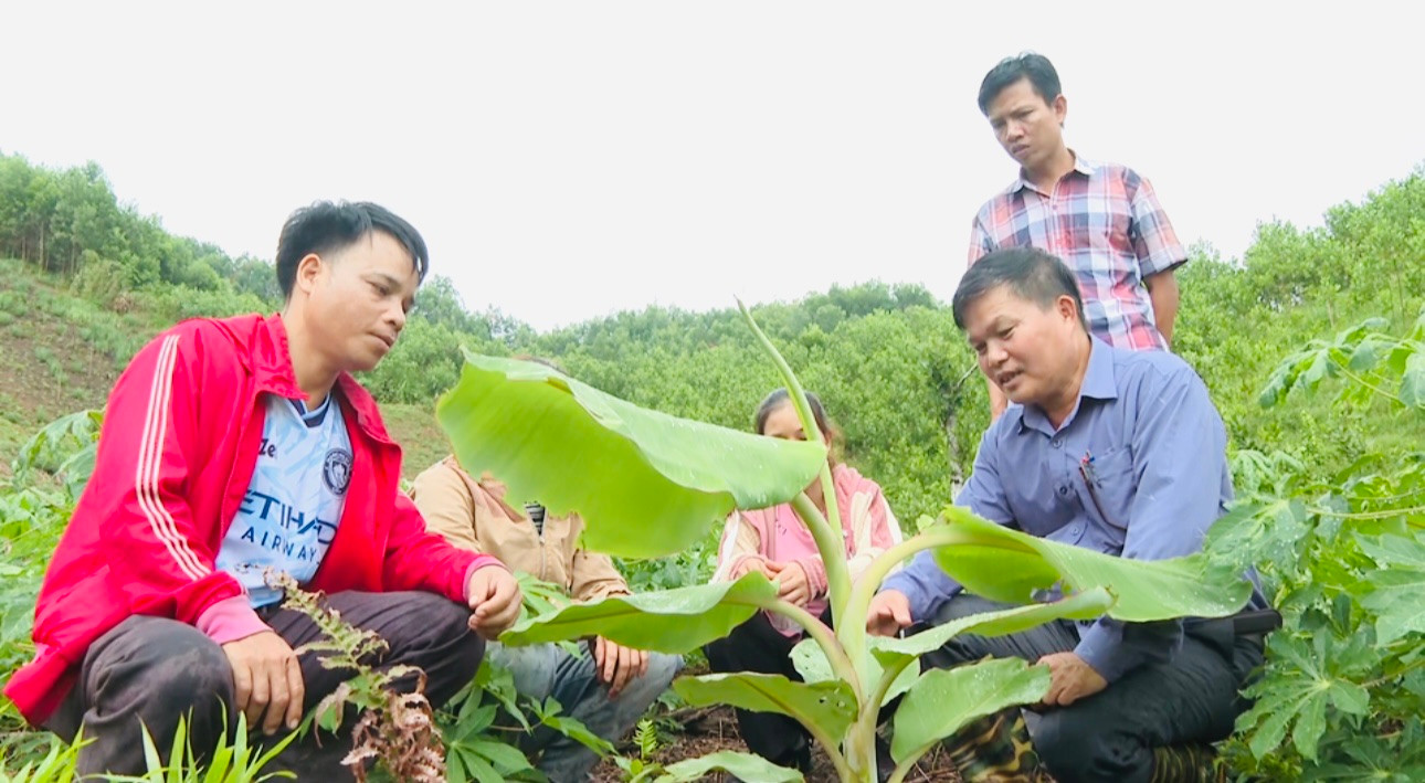 Các cán bộ và người dân trao đổi, chia sẻ kinh nghiệm. Các cán bộ và người dân trao đổi, chia sẻ kinh nghiệm.