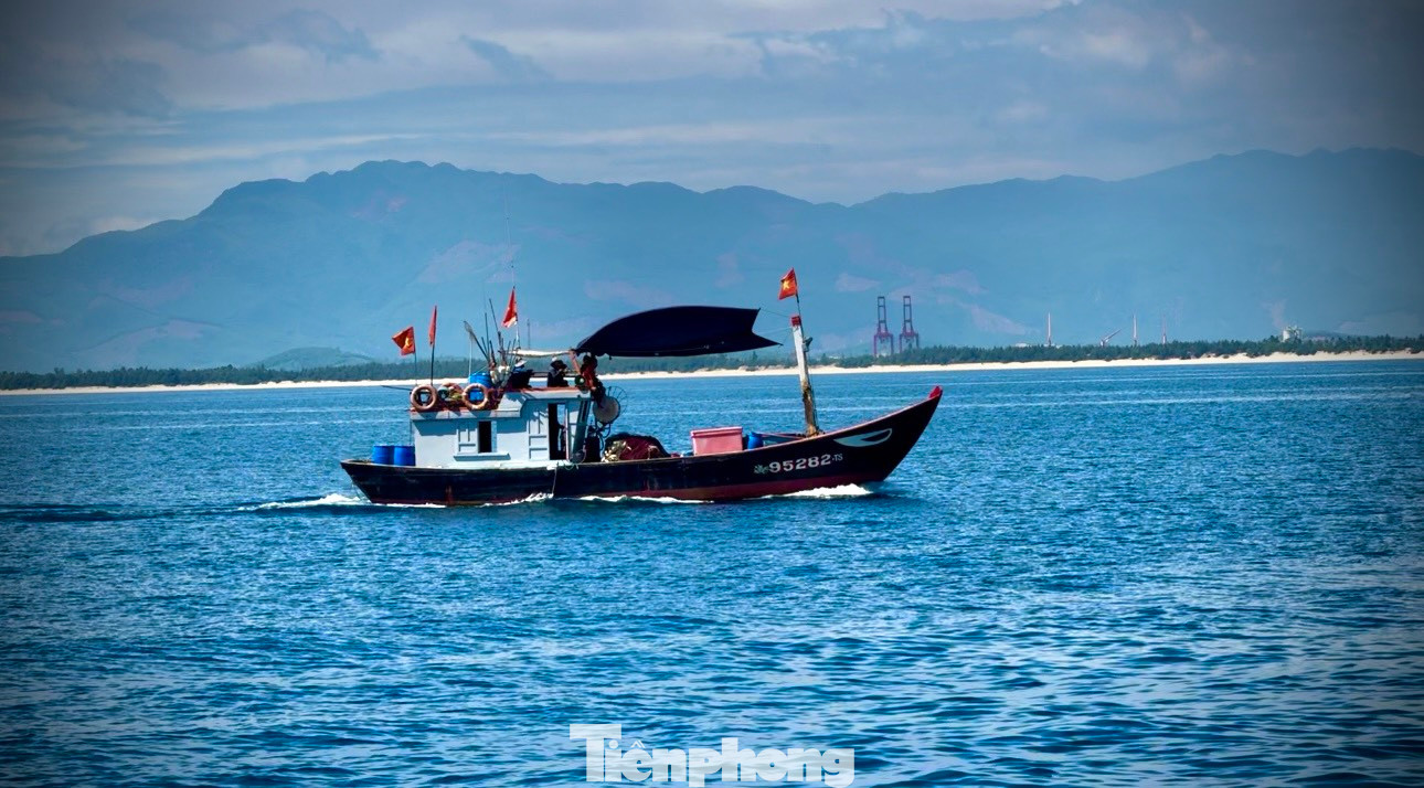 Nghề lưới vây (hay còn gọi lưới rút) đây là một trong những nghề rất phổ biến của ngư dân Quảng Ngãi. Nghề này không chỉ hoạt động ở các ngư trường xa bờ mà còn có ở gần bờ. Tại xã Bình Đông, huyện Bình Sơn có hàng chục tàu khai thác hải sản bằng nghề lưới vây gần bờ.