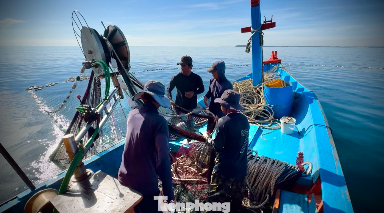 Sau khi vây lưới xong ngư dân bắt đầu thu lưới, cùng với sự giúp sức của máy kéo, những đôi tay rắn chắc thoăn thoắt nhanh chóng kéo lưới thu thành quả. Họ thao tác khá nhanh gọn và nhịp nhàng như những chiếc máy được lập trình sẵn.