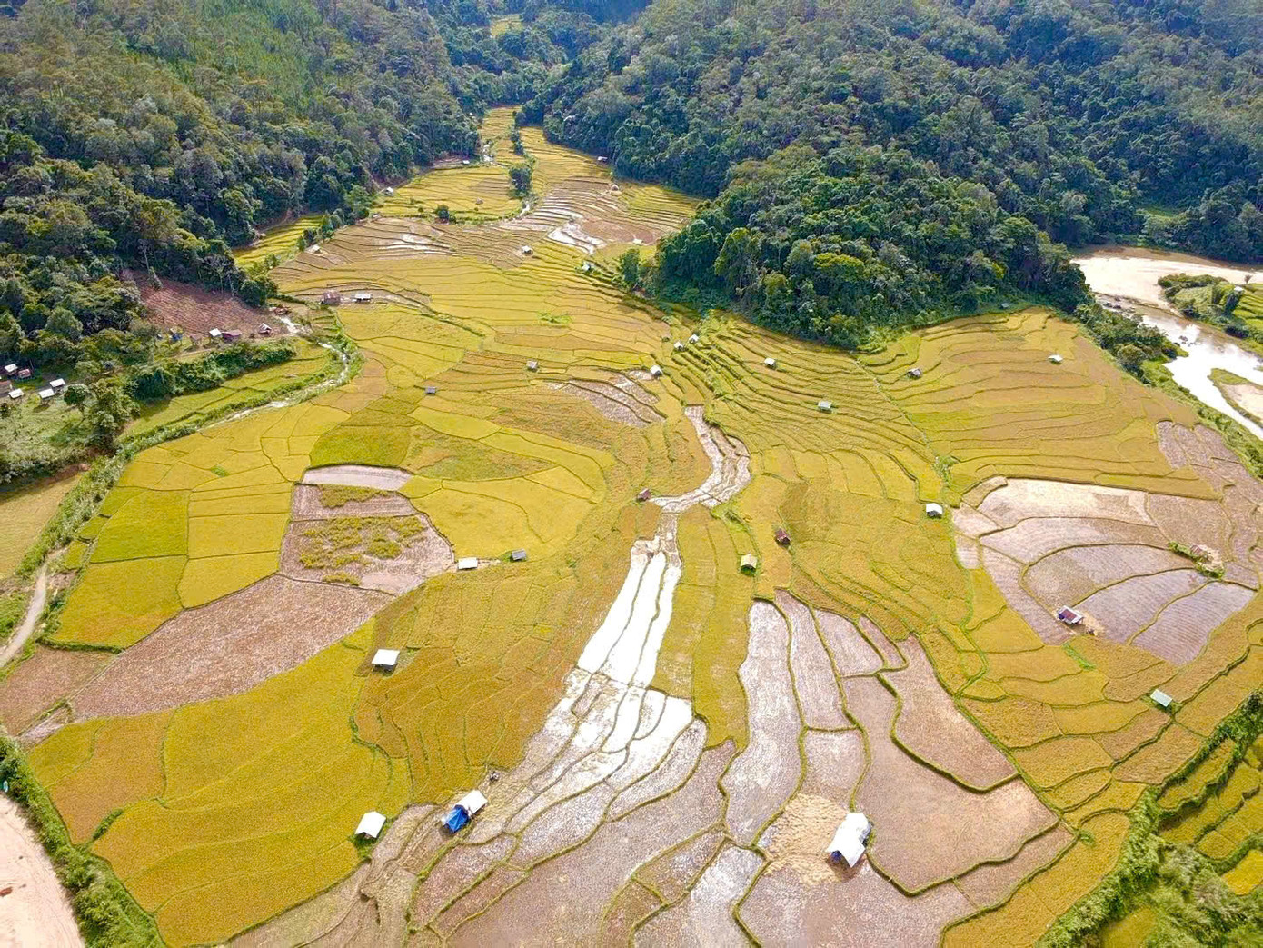 Ruộng bậc thang ở Kon Tu Rằng (xã Măng Cành, huyện Kon Plông, tỉnh Kon Tum) không rộng mênh mông như Mù Cang Chải (Yên Bái), cũng không kỳ vĩ như Hoàng Su Phì (Hà Giang), nhưng lại mang một vẻ đẹp riêng biệt, dịu dàng và hoang sơ.