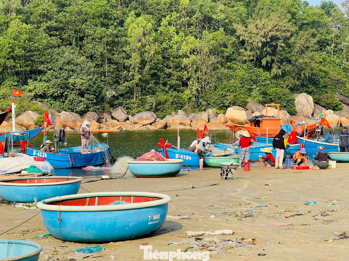 Làng chài Sơn Trà nhộn nhịp nhất vào lúc 7-8h sáng. Thời điểm này hầu như tất cả ngư dân đã quay về cùng với các loại hải sản tươi rói vẫn còn trong lưới. Ảnh: Nguyễn Ngọc