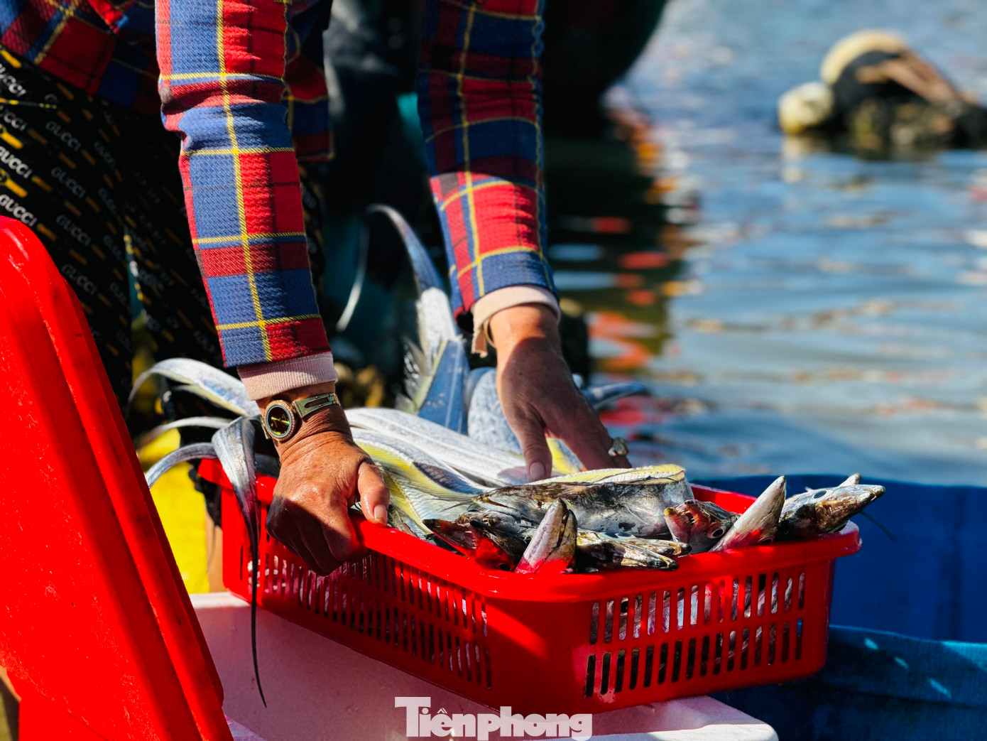 Người dân địa phương cũng tranh thủ chọn mua những con cá tươi ngon nhất, tận hưởng không khí bình minh đầy sức sống. Ảnh: Nguyễn Ngọc