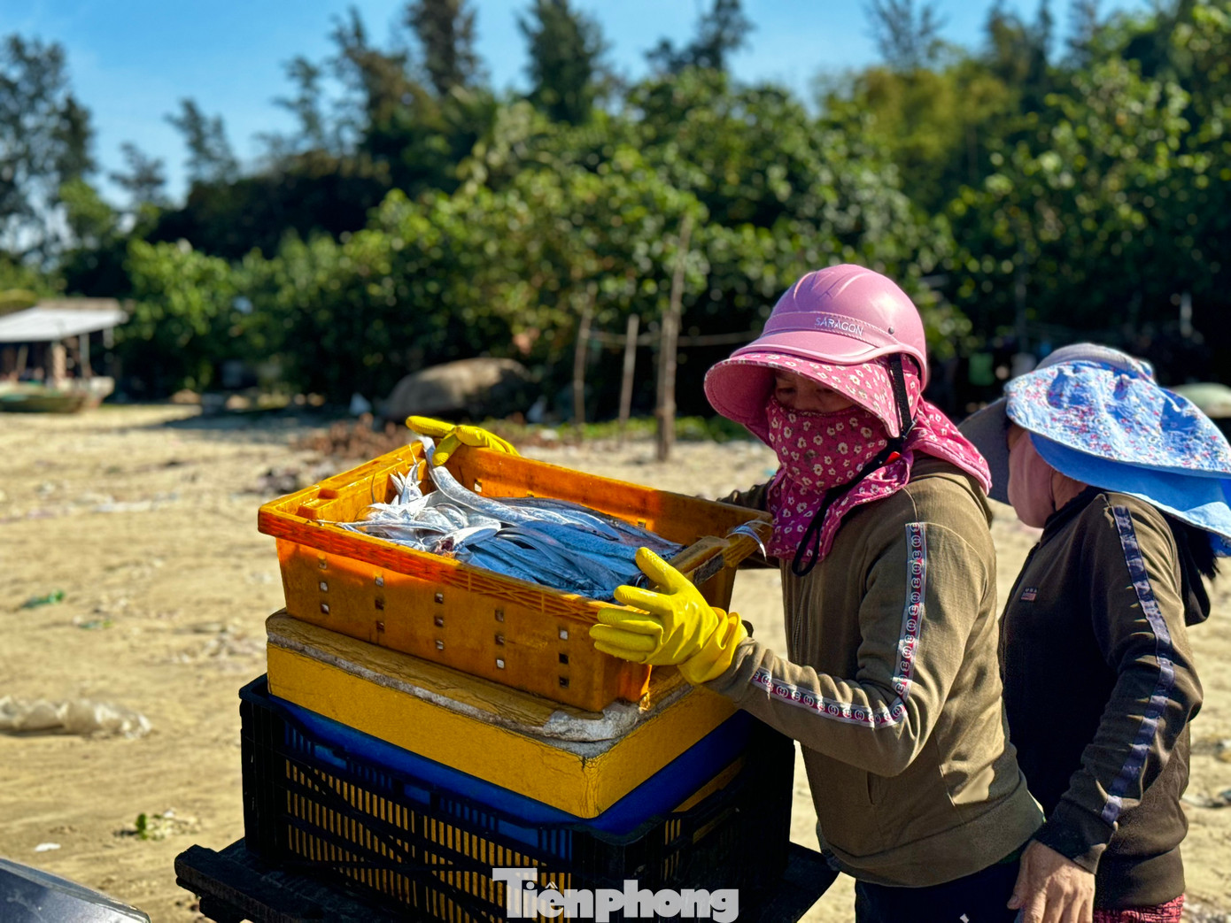 Những chiếc rổ đầy ắp cá, ghẹ, nhanh chóng được chuyển lên xe để mang đi tiêu thụ. Ảnh: Nguyễn Ngọc