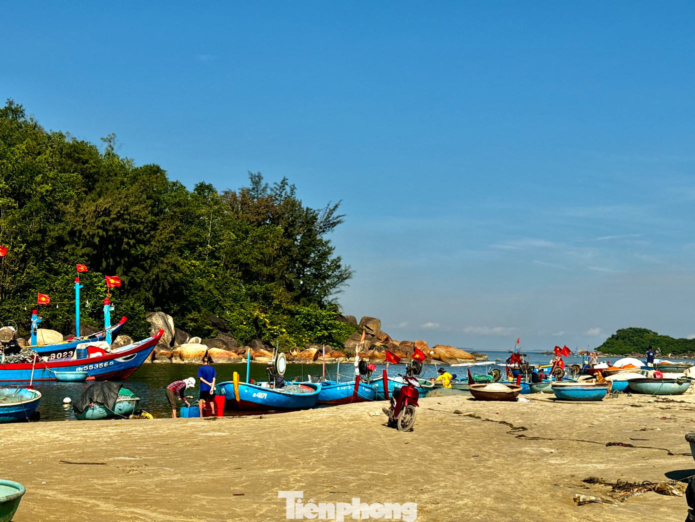 Làng chài Sơn Trà (thôn Sơn Trà, xã Bình Đông, huyện Bình Sơn, tỉnh Quảng Ngãi) nằm sát mé biển, tiếp giáp với cửa Sa Cần. Nơi đây có hàng trăm hộ dân hành nghề thúng gần bờ (thúng có gắn máy nổ công suất từ 6-12CV). Ảnh: Nguyễn Ngọc