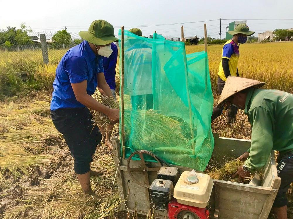 “Để giảm bớt khó khăn cho bà con, chúng tôi đã xung phong đến để hỗ trợ người dân thu hoạch nhanh các vùng ruộng bị đổ ngã, ngập để giảm thiểu thiệt hại cho người dân”, anh Công cho hay.