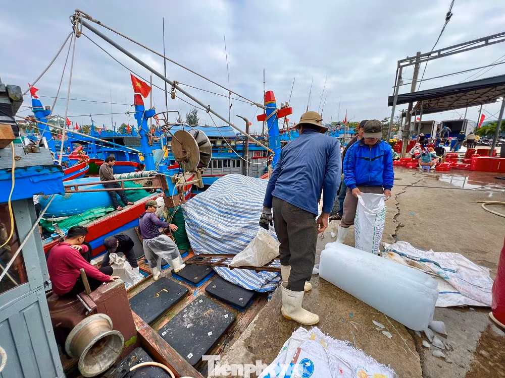 Các tàu lấy đá, nhiên liệu và lương thực để ra khơi.