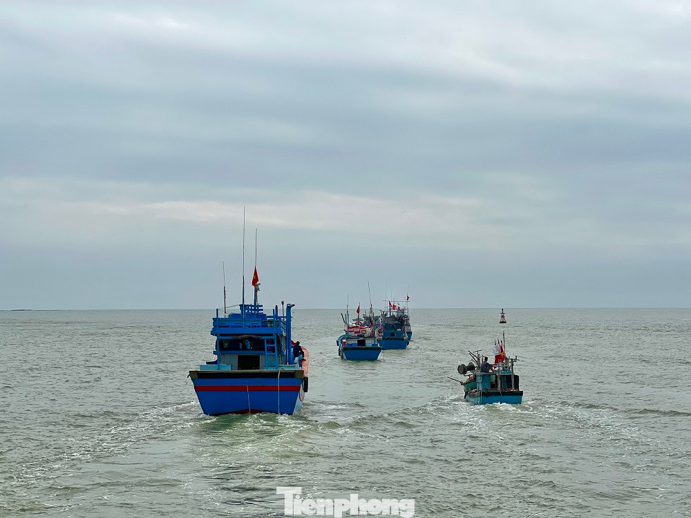 Sau khi bán cá cho thương lái, ngư dân nơi đây tiếp tục nạp nhiên liệu và lương thực để ra biển đánh bắt cá cơm trong những ngày đầu xuân mới.