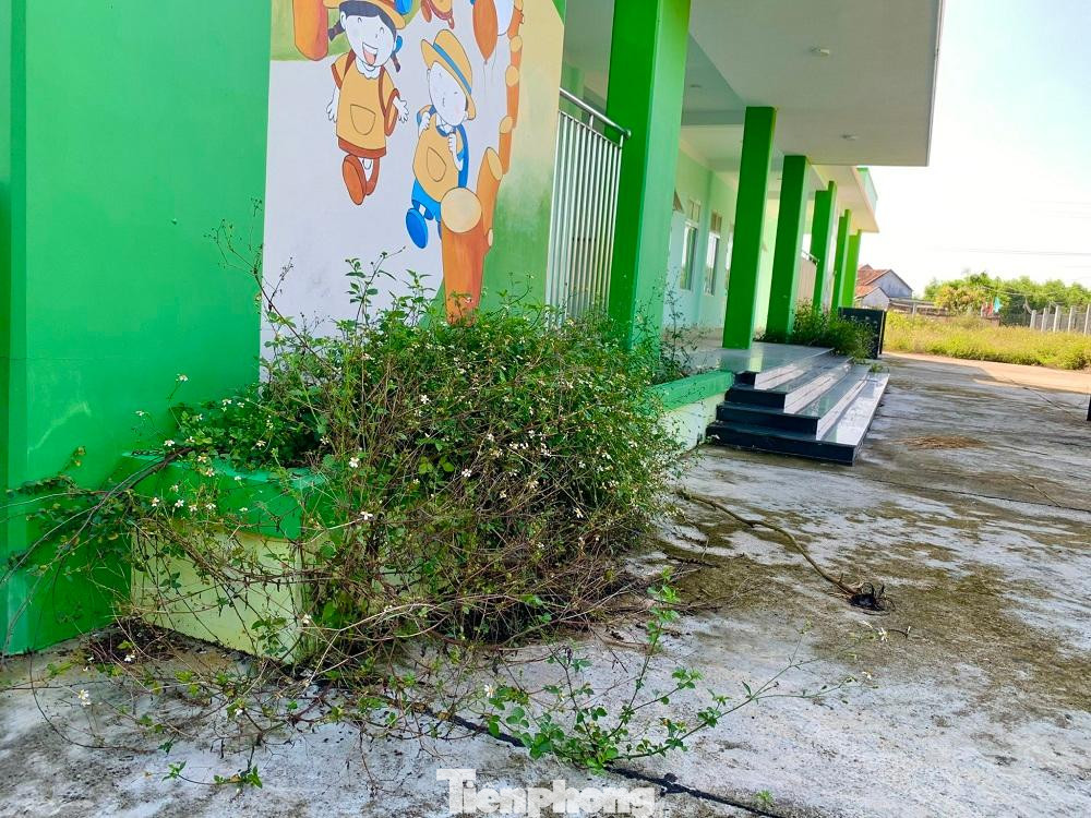 Ông Phan Khánh Lâm- Chủ tịch UBND xã Tịnh Ấn Tây, TP Quảng Ngãi cho biết, trên địa bàn xã có một trường mầm non nằm ở trung tâm được xây dựng trên diện tích hơn 2.100m2, có 5 lớp học với tổng số cán bộ, giáo viên, nhân viên là 18 người.