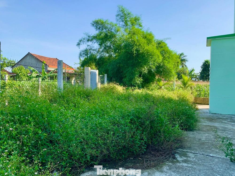 Trao đổi với PV, ông Nguyễn Văn Hưng- Trưởng phòng Giáo dục TP Quảng Ngãi cho biết, trường được xây dựng từ năm 2018, nhưng từ năm 2018-2022 chưa tuyển được giáo viên. Theo quy định các huyện đều có quyền thi tuyển viên chức giáo viên. Tuy nhiên 3 năm qua, tỉnh đứng ra tổ chức việc này, làm đề chung trên tỉnh rồi mới giao về các huyện, thành phố. Vì lý do này 2 năm qua chưa tổ chức được, mãi đến tháng 3/2022 mới thi tuyển, tháng 4 mới có giáo viên.