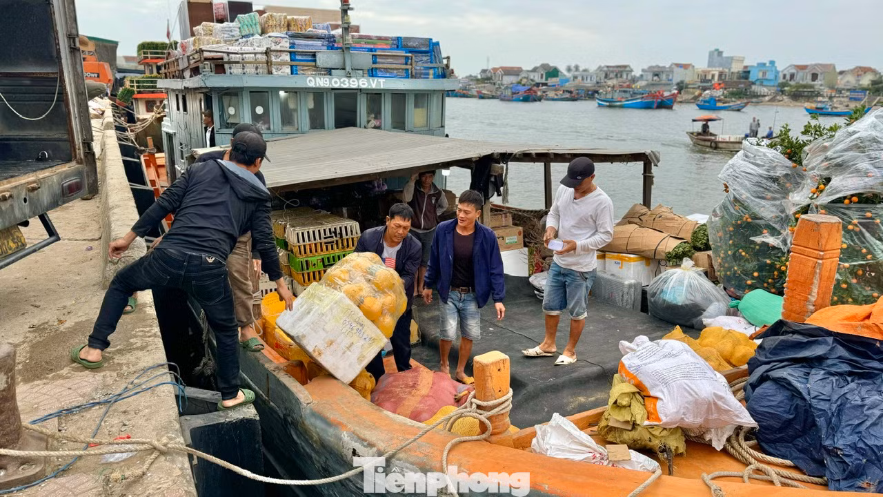Những ngày này, tại cảng Sa Kỳ (xã Bình Châu, huyện Bình Sơn, tỉnh Quảng Ngãi) từ trên bờ xuống bến cảng, không khí tấp nập, nhộn nhịp hơn so với mọi ngày.