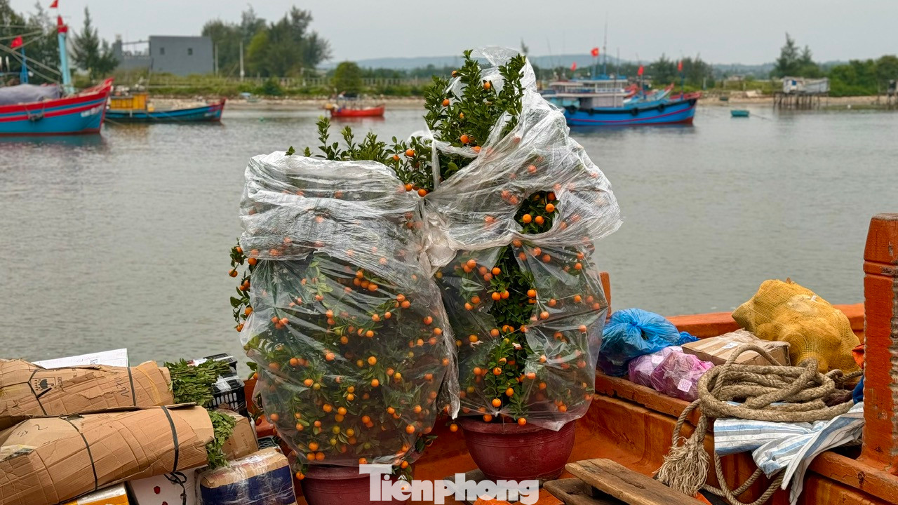 Lãnh đạo Ban Quản lý (BQL) cảng Sa Kỳ cho biết, trong những ngày cao điểm của dịp Tết, BQL cảng sẽ bố trí từ 6 – 12 chuyến tàu ra đảo và ngược lại. Tùy theo lượng bà con về quê, có bao nhiêu BQL thì sẽ bố trí tàu đưa bà con về quê đón Tết