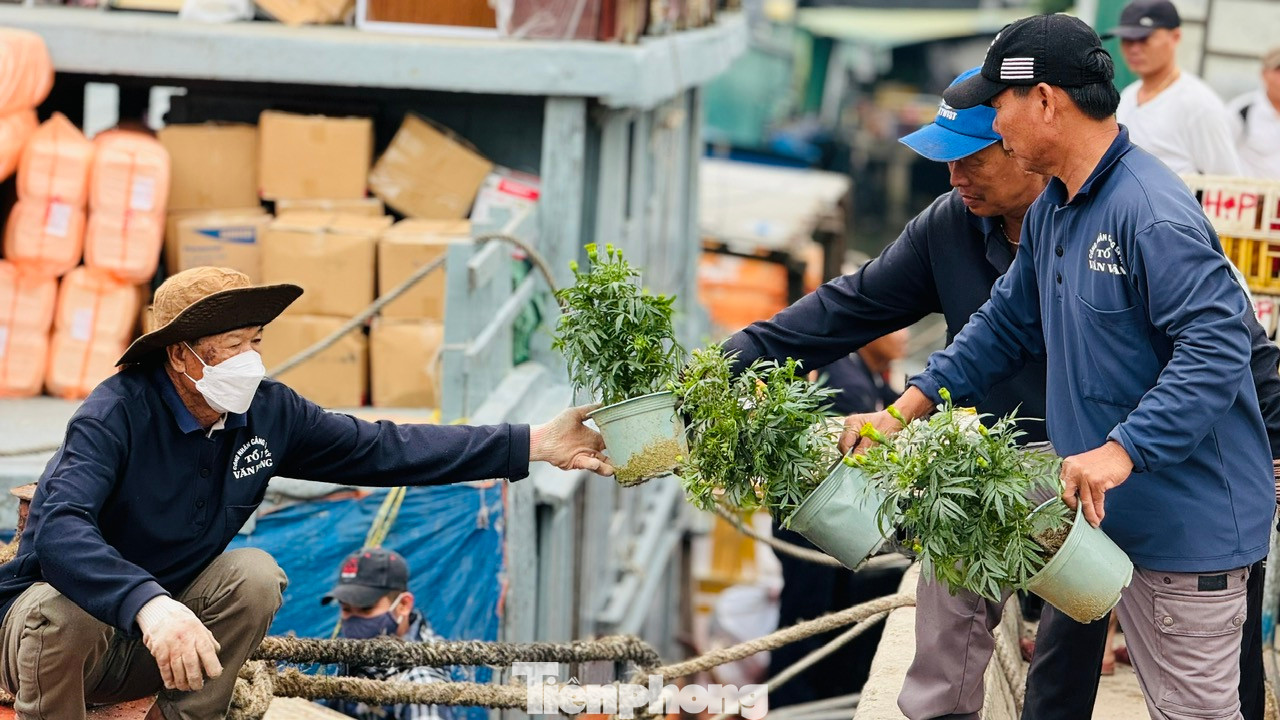 Các công nhân bốc vác hàng hóa cũng phải làm việc hết công suất để đưa hàng lên các tàu.