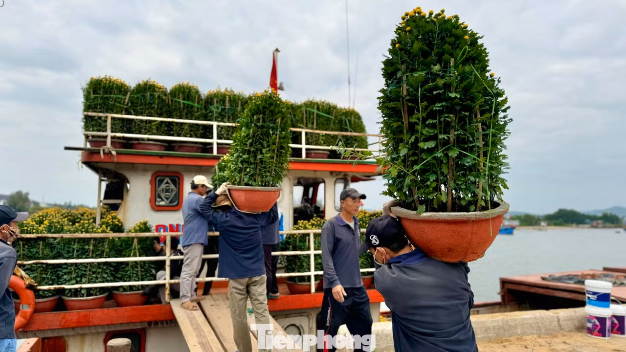 Trên mỗi chuyến tàu những ngày giáp Tết là những món quà mà người dân đảo không thể tự làm ra được.