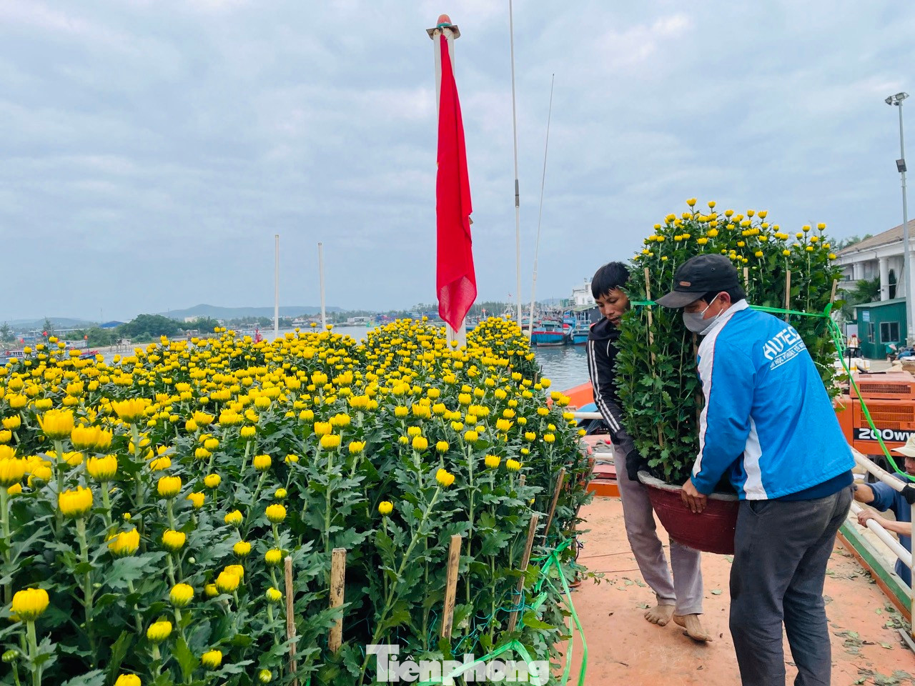 “Tôi tranh thủ những ngày thời tiết thuận lợi, cho tàu chạy hết công suất để chở hàng hóa và hoa ra đảo. Mỗi ngày tàu chạy được một chuyến, mỗi chuyến tàu chở được khoảng 200 tấn hàng hóa và hoa tết ra đảo”, ông Quý chia sẻ.