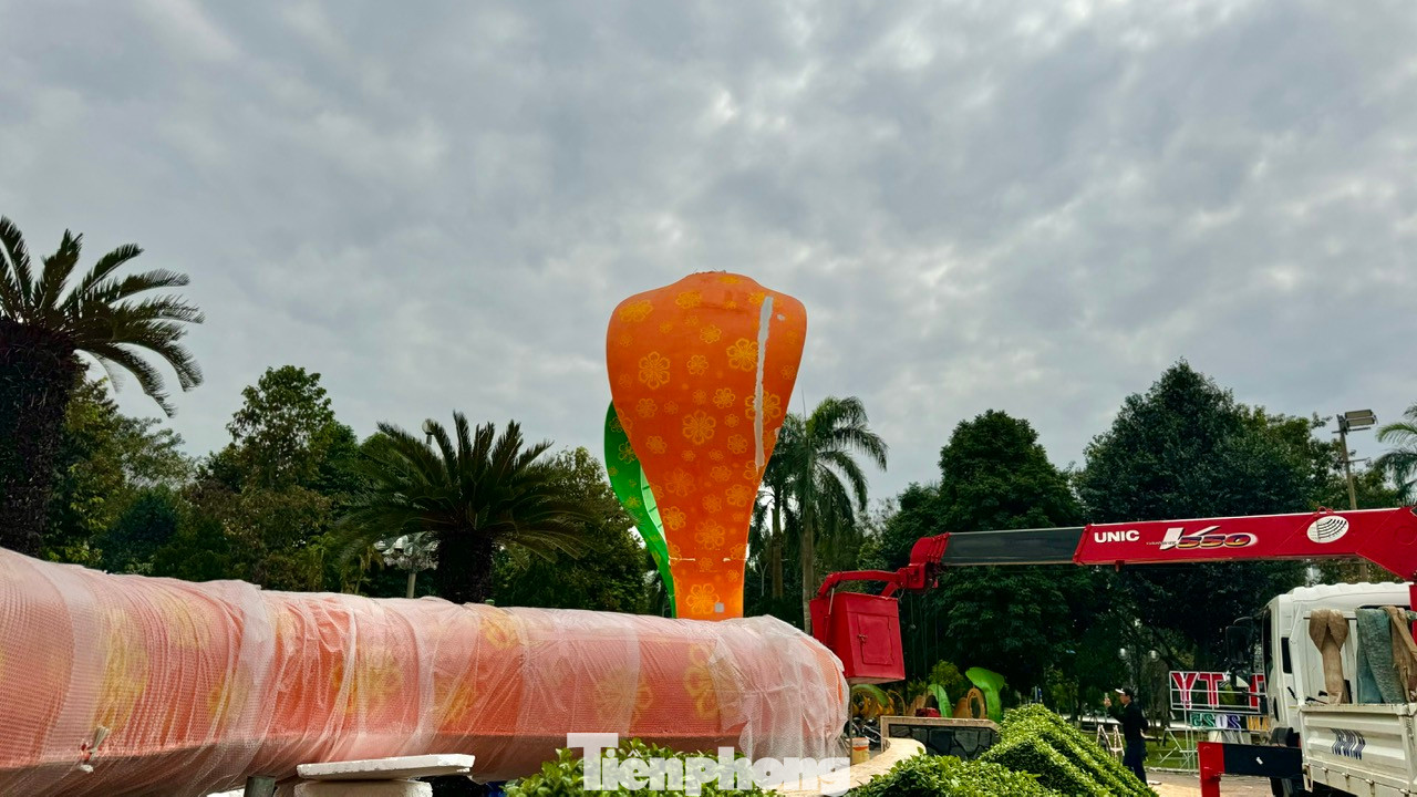 Cặp rắn có kích thước rất lớn, tổng chiều dài của hai con là hơn 31m. Đôi linh vật được thiết kế ấn tượng với một con màu cam và một con màu xanh, nằm ngay lối chính ra vào trung tâm công viên Ba Tơ.