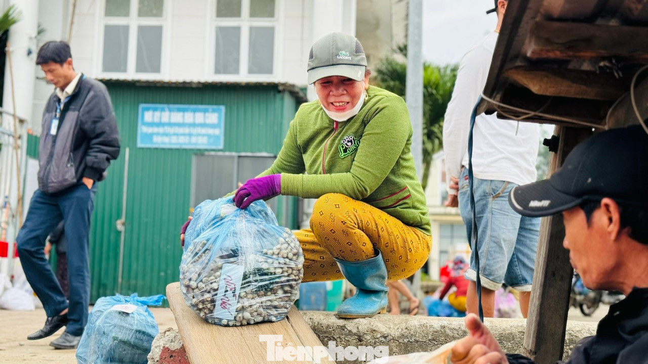 Các tàu vận tải hàng hóa trên tuyến Sa Kỳ - Lý Sơn hoạt động liên tục với hơn 200 tấn hàng mỗi ngày để “chở Tết” ra đảo Lý Sơn phục vụ và đáp ứng đủ nhu cầu của hơn 22.000 dân trên đảo.