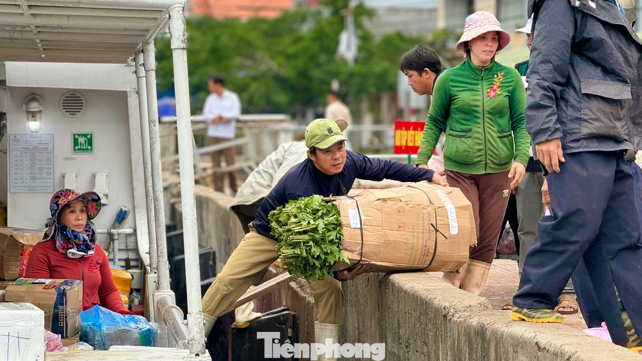 Lãnh đạo Ban Quản lý (BQL) cảng Sa Kỳ cho biết, trong những ngày cao điểm của dịp Tết, BQL cảng sẽ bố trí từ 6 – 12 chuyến tàu ra đảo và ngược lại. Tùy theo lượng bà con về quê, có bao nhiêu BQL thì sẽ bố trí tàu đưa bà con về quê đón Tết